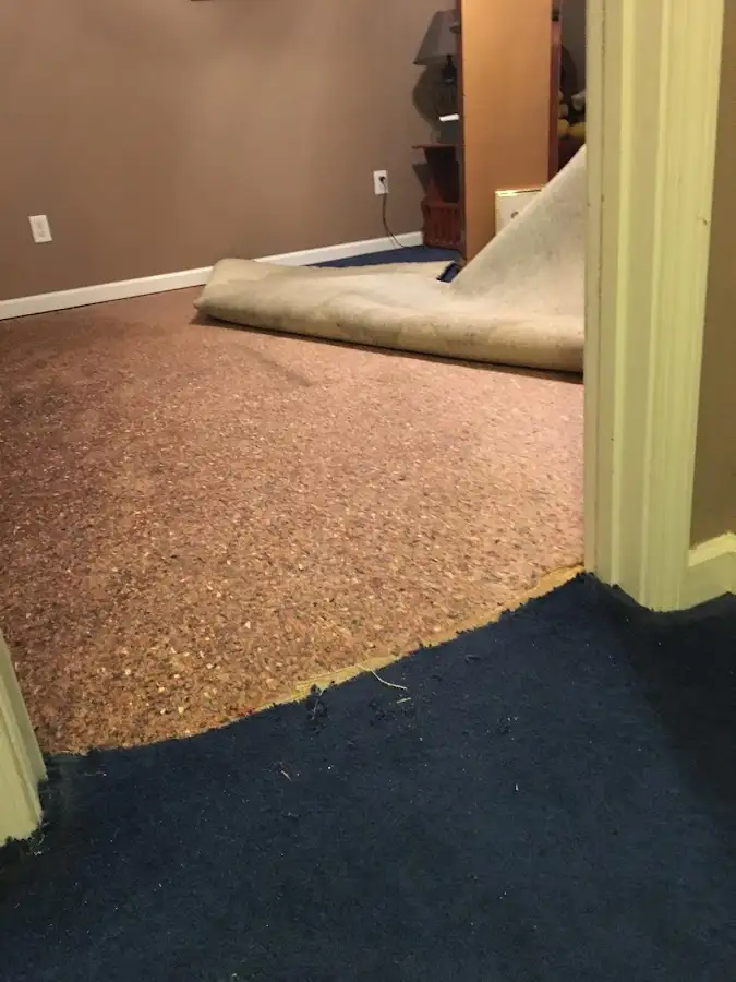 Carpet pad removal revealing water damage during Water Mitigation Services in Venus