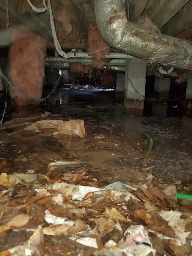 Crawl space flood assessment for Commercial Water Damage Restoration in Venus