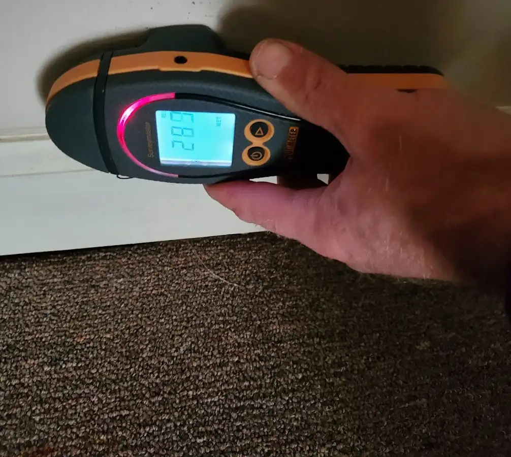 Moisture detection at baseboard during Sewage Cleanup & Sanitation in Venus
