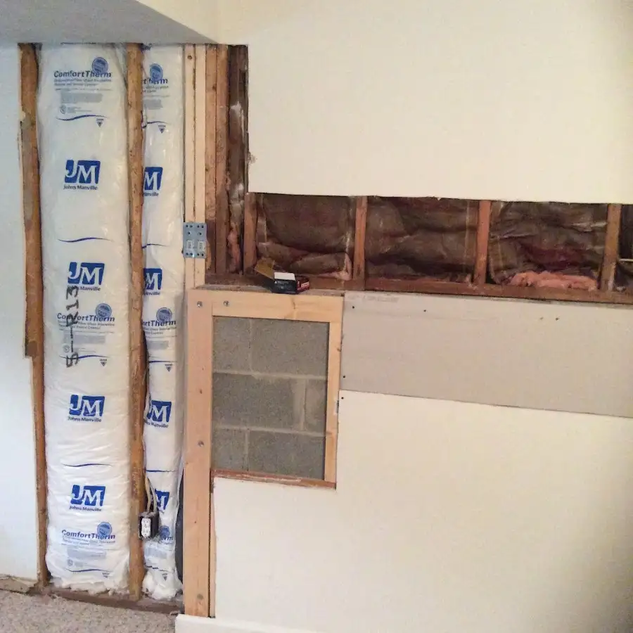 Wall insulation replacement during Basement Flood Cleanup in Venus